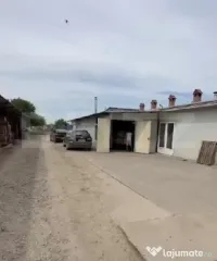 2 Hale cu chirias in Botiz, 2000 mp utili 