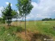 Teren INTRAVILAN 899 mp, zona Cornesti- Buduhala 