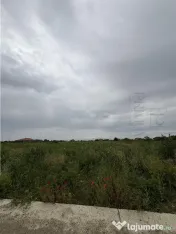 Teren- Mosnita Noua- Toate utilitatile strada betonata 