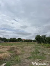 Teren- MOSNITA VECHE- Toate utilitatile str. pietruita 