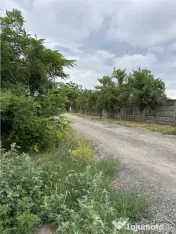 Teren- MOSNITA VECHE- Toate utilitatile str. pietruita 