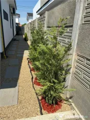 Duplex partial mobilat - zona buna - curte amenajata 