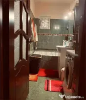 Apartament 1 camera-Centrala-Buziasului-Acoperis 