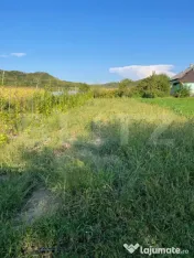 Casa de vanzare, zona Sintereag, 14 arii de teren 