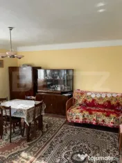 Casa de vanzare, zona Sintereag, 14 arii de teren 