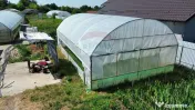 Proprietate 2.229 mp cu Dotări pentru Afacere Florală 