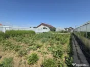 Proprietate 2.229 mp cu Dotări pentru Afacere Florală 