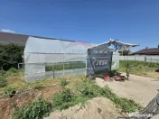 Proprietate 2.229 mp cu Dotări pentru Afacere Florală 