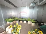 Proprietate 2.229 mp cu Dotări pentru Afacere Florală 