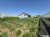 Proprietate 2.229 mp cu Dotări pentru Afacere Florală 