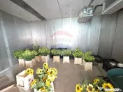 Proprietate 2.229 mp cu Dotări pentru Afacere Florală 