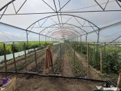 Proprietate 2.229 mp cu Dotări pentru Afacere Florală 