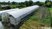 Proprietate 2.229 mp cu Dotări pentru Afacere Florală 