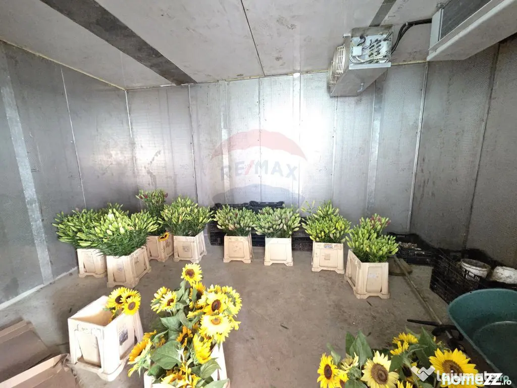 Proprietate 2.229 mp cu Dotări pentru Afacere Florală