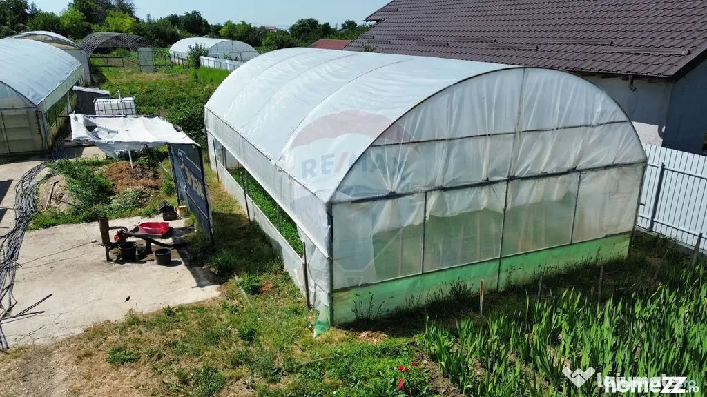 Proprietate 2.229 mp cu Dotări pentru Afacere Florală