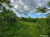 Teren de vanzare | 3.600mp | Valeni de Munte, Prahova | C... 
