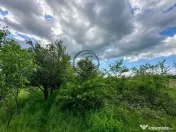 Teren de vanzare | 3.600mp | Valeni de Munte, Prahova | C... 