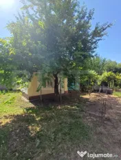 Casă de vânzare cu anexe, 174 mp, 22 ari teren, Grigoresti 