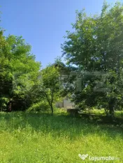Casă de vânzare cu anexe, 174 mp, 22 ari teren, Grigoresti 