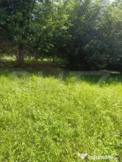 Casă de vânzare cu anexe, 174 mp, 22 ari teren, Grigoresti 