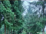 Teren 1000 mp, Sâmbăta de Sus – zonă turistică, eligib 