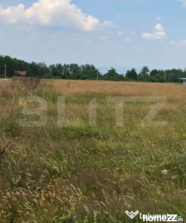 Teren 1000 mp, Sâmbăta de Sus – zonă turistică, eligib