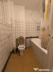 Sala Palatului- Cismigiu- Brezoianu 