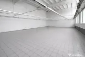 HALA PRODUCTIE/DEPOZITARE/BARIERA BUCURESTI 