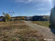 De închiriat: Hale si locuință pe 3 000 mp/ Bascov - Arge 