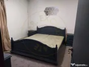 De închiriat: Hale si locuință pe 3 000 mp/ Bascov - Arge 