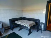 De închiriat: Hale si locuință pe 3 000 mp/ Bascov - Arge 