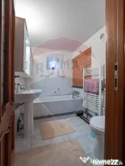 Casă / Vilă deosebită în SUCEVIȚA 