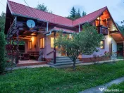 Casă / Vilă deosebită în SUCEVIȚA 