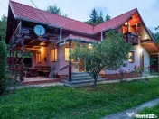 Casă / Vilă deosebită în SUCEVIȚA 
