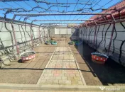Casa P in Bradesti, 5 camere, 1.045 mp curte, 47 m deschider 