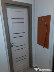 Baba novac dristor etaj 9 