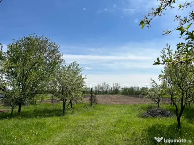 Vand teren intravilan Raucesti 7100mp
