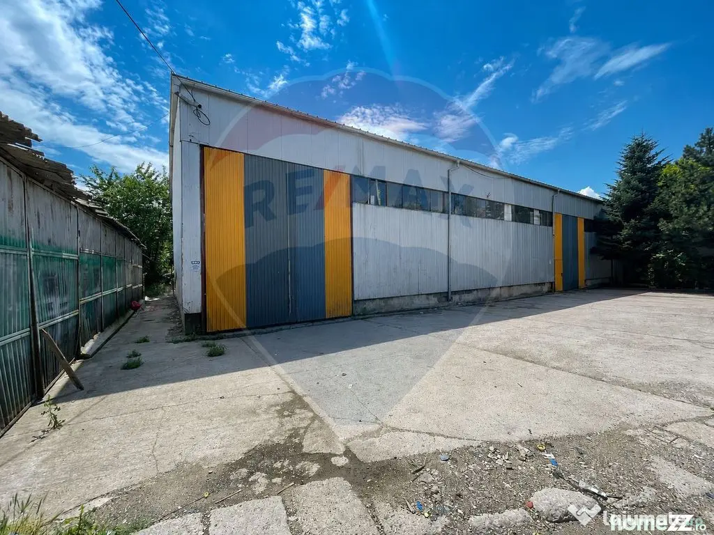 Hală/depozit, platforma betonata 600mp, Stefănești lan...