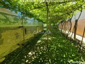 Casa situata în orasul Târgu-Carbunesti , Sat Ștefăneșt 