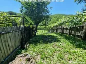 Casa situata în orasul Târgu-Carbunesti , Sat Ștefăneșt 