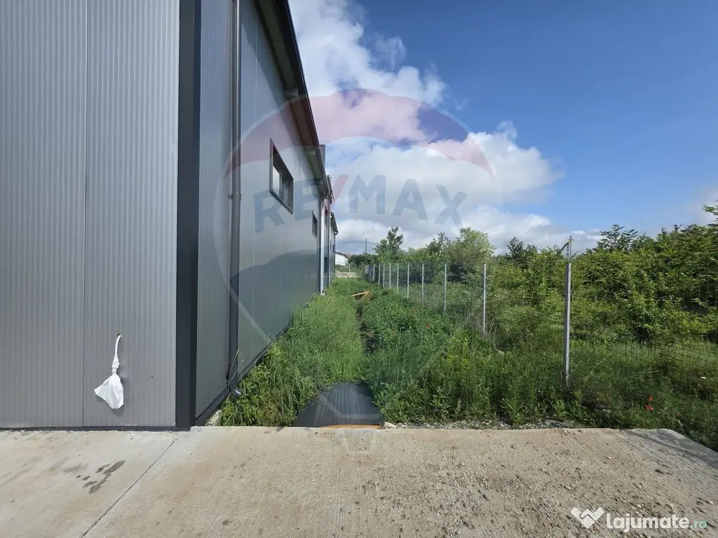 DE INCHIRIAT Hala industriala 596mp | Teren 2500mp | Buftea