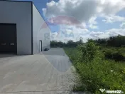 DE INCHIRIAT Hala industriala 596mp | Teren 2500mp | Buftea 