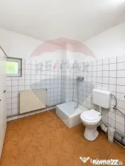 Hala + platforma betonata 600mp, Stefanesti langa centura