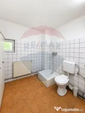 Hala + platforma betonata 600mp, Stefanesti langa centura 