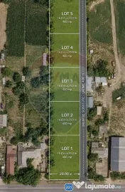 Teren intravilan 1.300 mp | Cazasu | Ideal investiție 