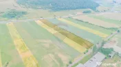 Teren intravilan de vânzare în Codlea, iesirea spre Sibiu 