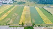 Teren intravilan de vânzare în Codlea, iesirea spre Sibiu
