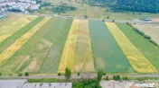 Teren intravilan de vânzare în Codlea, iesirea spre Sibiu 