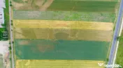 Teren intravilan de vânzare în Codlea, iesirea spre Sibiu 