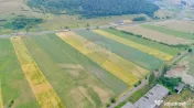 Teren intravilan de vânzare în Codlea, iesirea spre Sibiu 